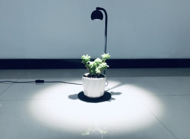 苔蘚微景觀植物補(bǔ)光燈CH-PZ0950YA